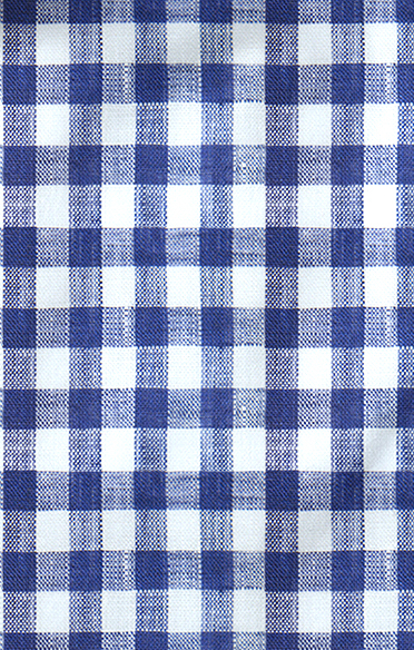 Navy Gingham